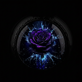 Macro face cosmic rose v2