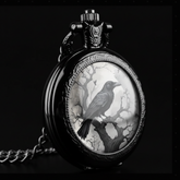 Side close-up raven watch