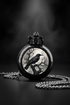 Suspended raven watch